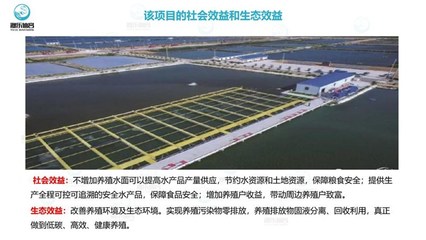 工厂化循环水养鱼 智慧农研驱动下的水产养殖革命